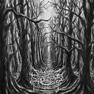 Sombre Chemin II (Paranoïa et Déception)