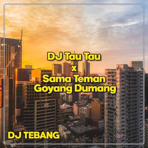 DJ Tau Tau x Sama Teman Goyang Dumang