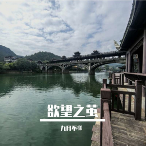 欲望之茧