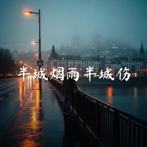 半城烟雨半城伤