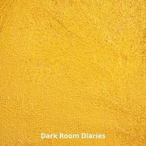 Dark Room Diaries
