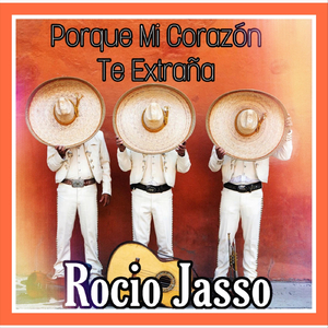 Porque Mi Corazon Te Extraña