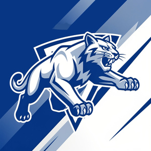 Hector Wildcats Basketball