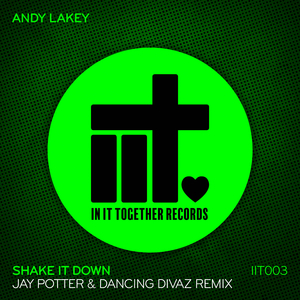 Shake It Down (Jay Potter & Dancing Divaz Remix)