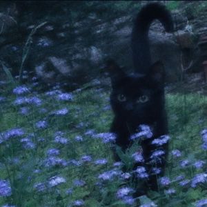 【FREE】"如梦初醒" Pluggnb Type Beat #节奏玩家5