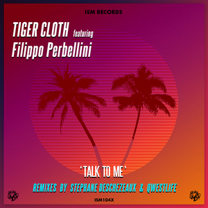 Talk to Me (Original Mix) [feat. Filippo Perbellini]