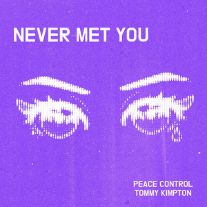 Never Met You