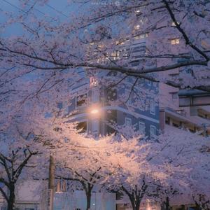 枕头下未寄出的情书