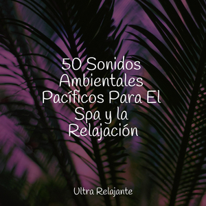 Descansando Junto Al Lago