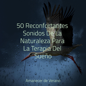 Tonos Cósmicos a la Luz de la Luna