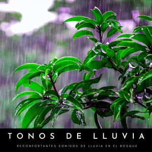 Salpicaduras Sedantes