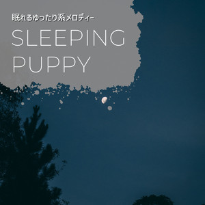 The Peaceful Soundscape