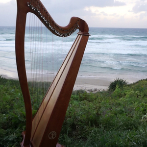 Harp in the Wind healing meditation