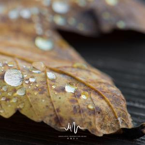 从此以后 (疗愈钢琴曲)