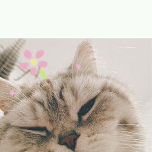 天地缓缓（翻自 伦桑）