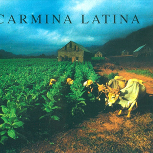 Qué Niño tan bello