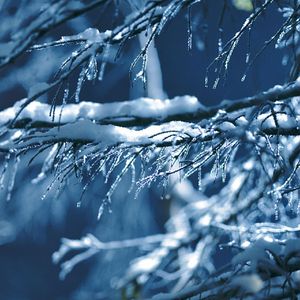 【FREE】"霜降" - 90s r&b x ballad type beat