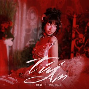 TUY AM（KAIZ REMIX）