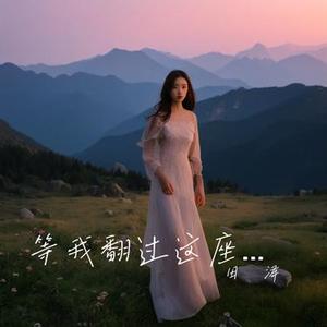 等我翻过这座山