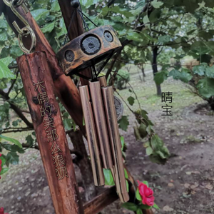 木偶笑的那么狼狈