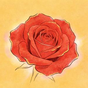 一生中最爱（深情女版）