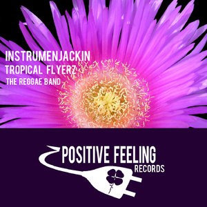 The Reggae Band (Fx DJ Tool)