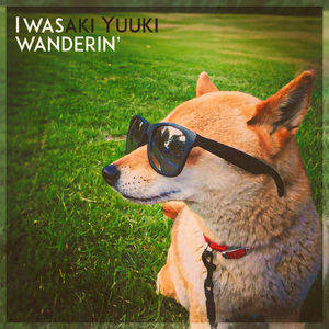 ゆっくり馴染んでく