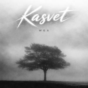 Kasvet