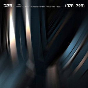 Tunel (Volkstum Remix)