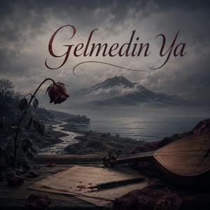 Gelmedin Ya