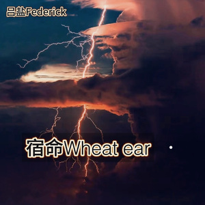 宿命Wheat ear