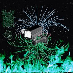 Überwachungssystem (feat. Blunts in the Garden)