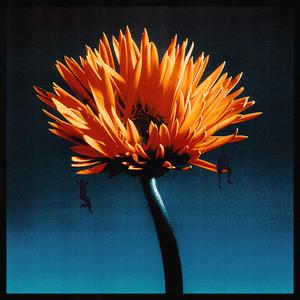 Buddha, killing bill