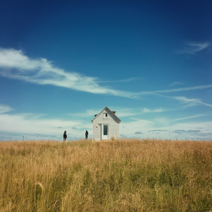 장미 화원의 카나리아