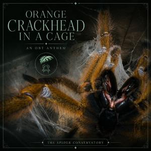 Orange Crackhead in a Cage