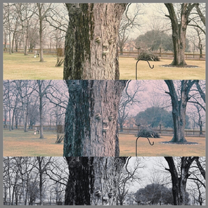 She Doesn’t Want to Talk to Me Anymore