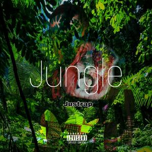 Jungle