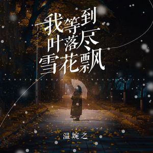 我等到叶落尽雪花飘