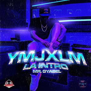 YMJXLM