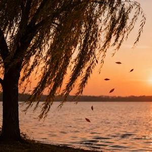 三分清醒七分难过