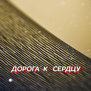 ЛИСТАЮ ДНИ КАЛЕНДАРЯ