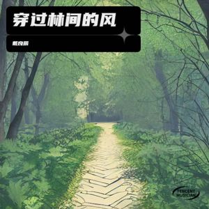 穿过林间的风