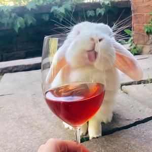 风停了雨停了我们还拥抱着