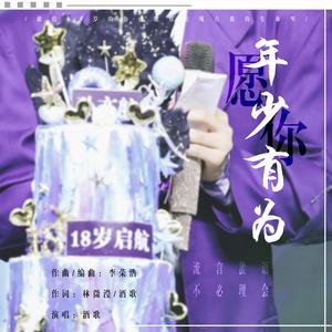 年少有为（重填词）