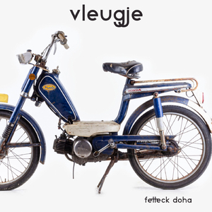 Vleugje