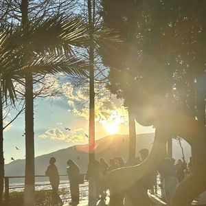 律动的放克之舞