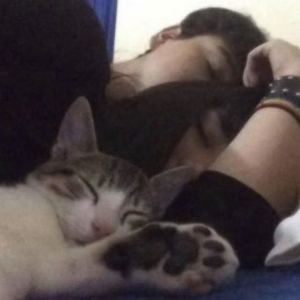 diaryplugg type beat 1'sleep in ur arms'