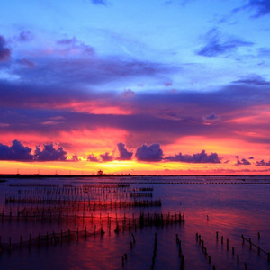 クイックシルバースピード