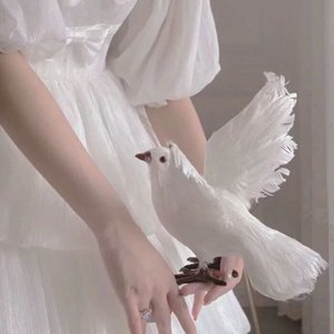 The Garden of Escapism（ remix）