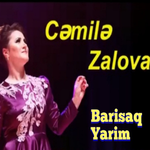 Barışaq Yarım